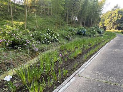 6月10日(1)