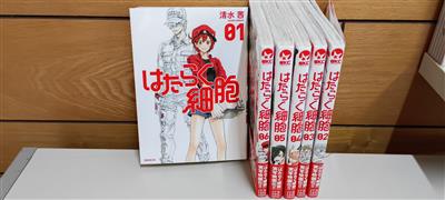 R8.7 「はたらく細胞」