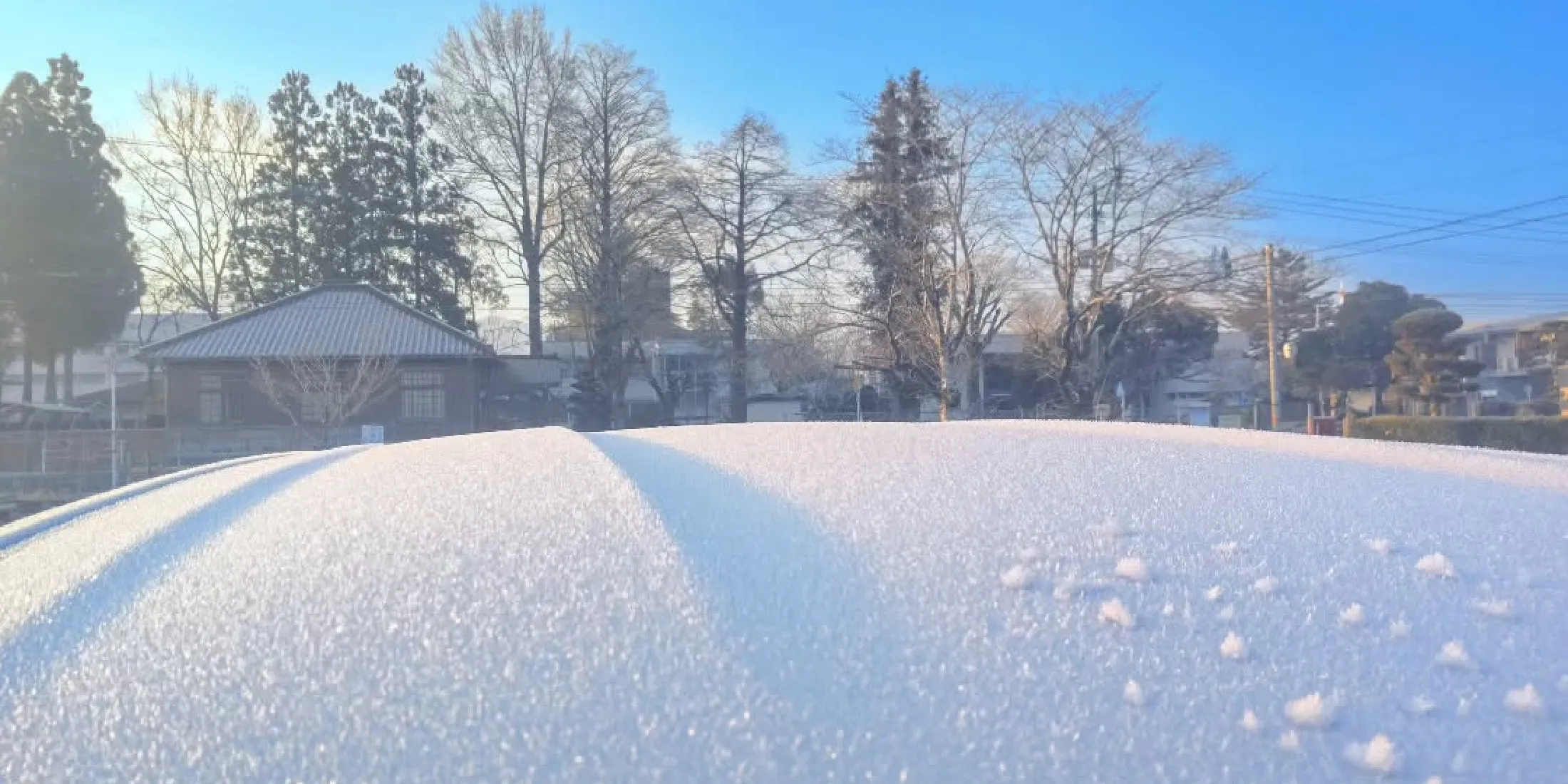 雪景色