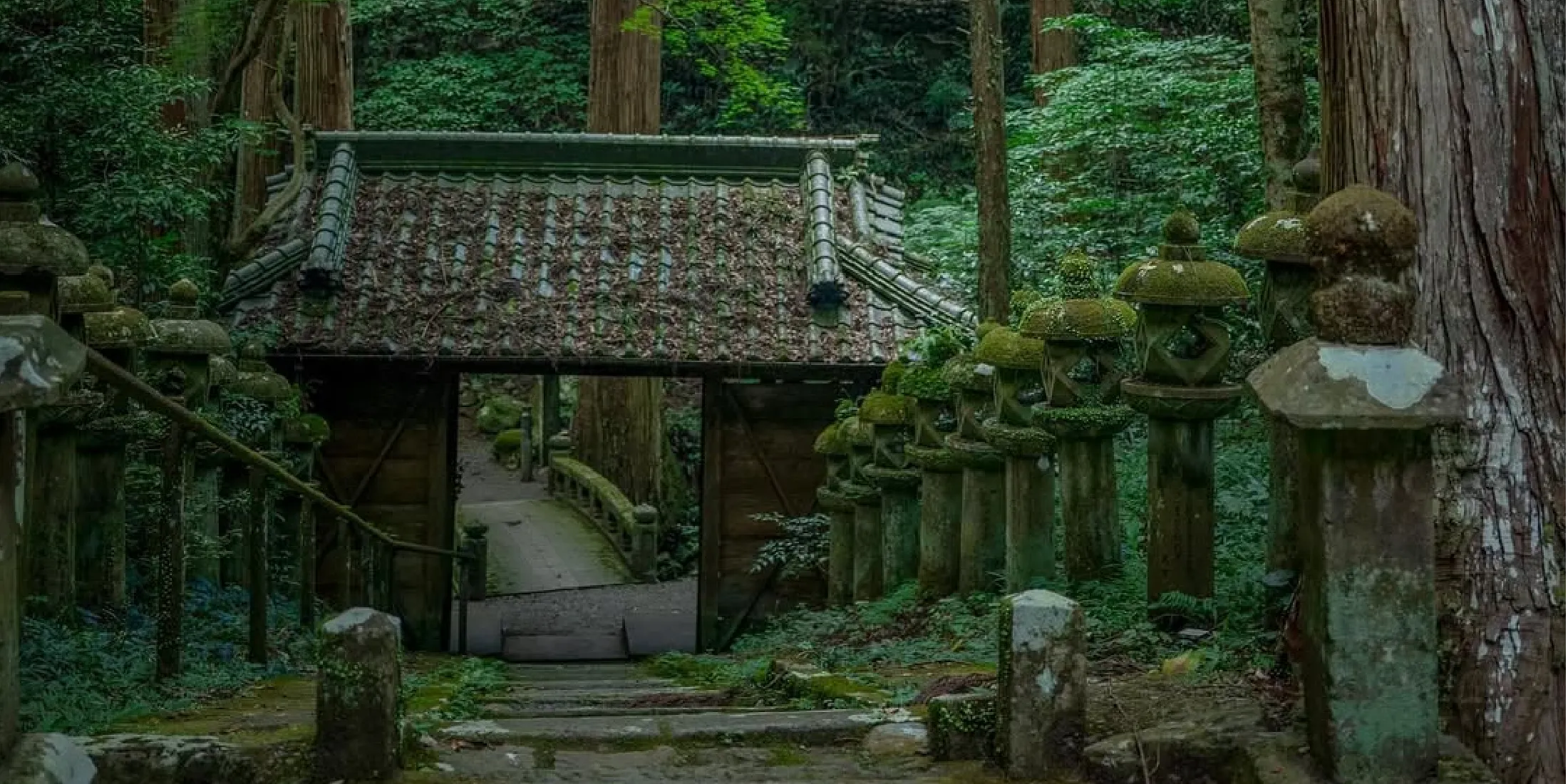 谷水薬師の参道