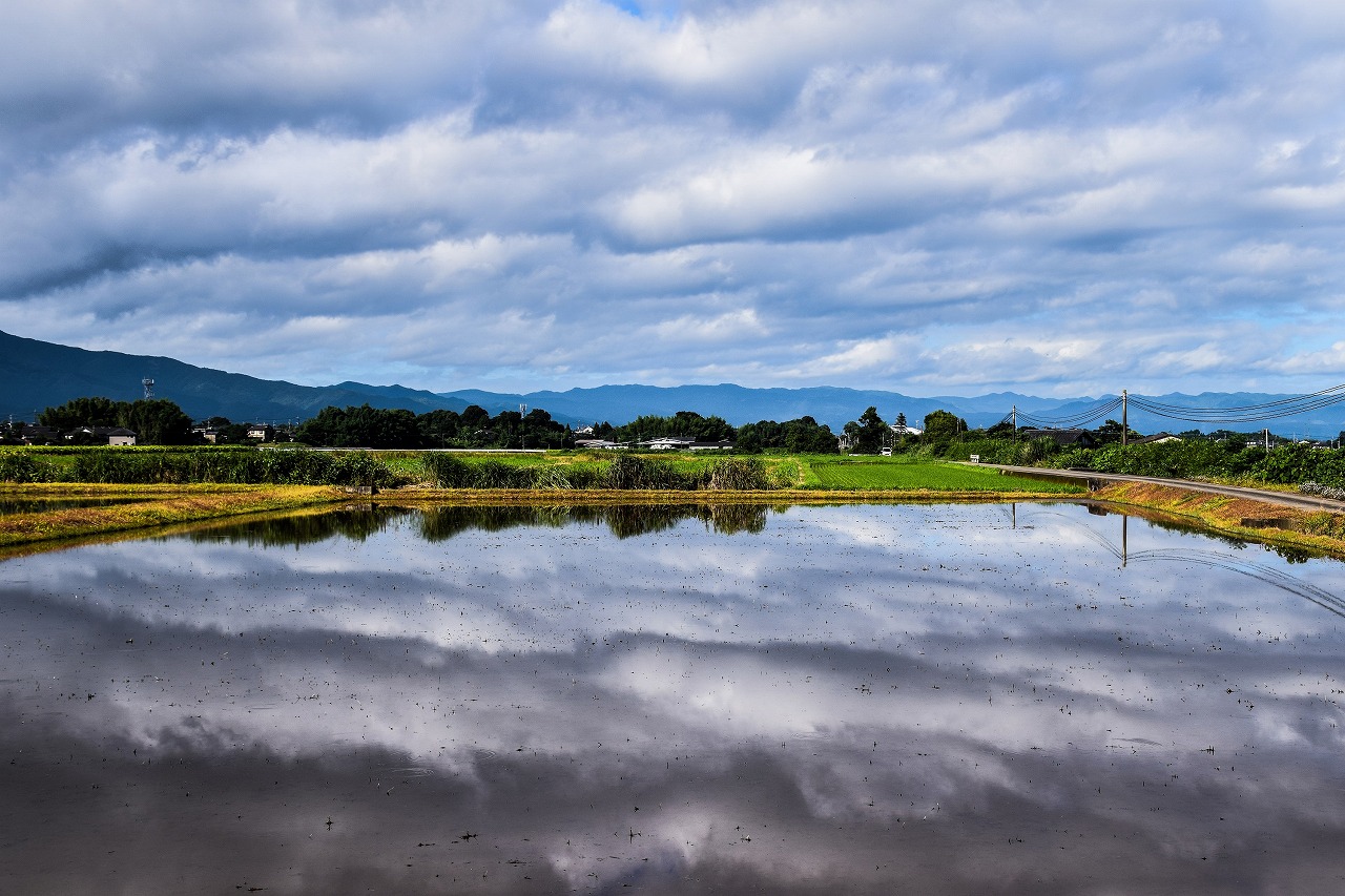 風景の部　最優秀賞「田んぼに映る雲」の写真