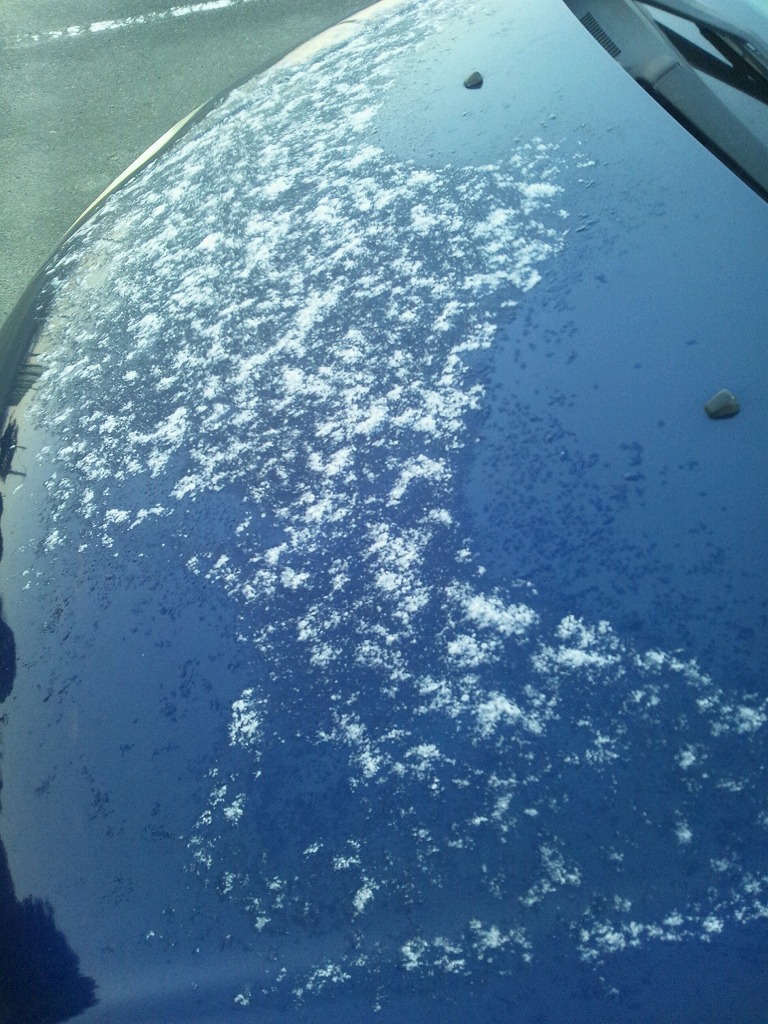 今朝のクルマのボンネットの積雪の様子の写真