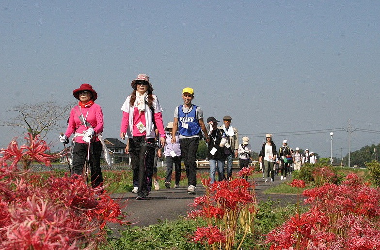 20キロコースで歩く参加者の写真