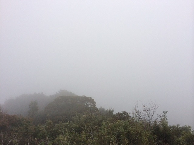 高山展望台から平野を見下ろした写真