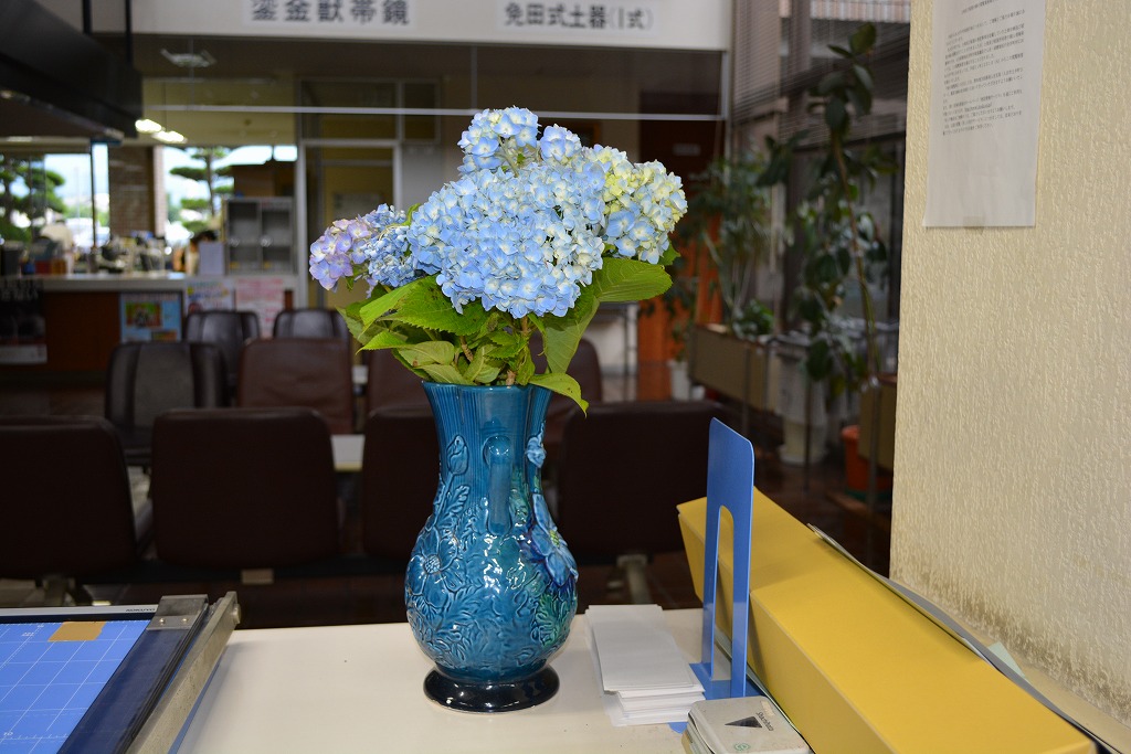 税務課の窓口の紫陽花の花の写真